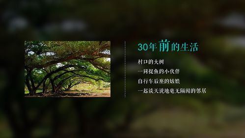 方圓地產(chǎn)·東江月島影視策劃案 一場(chǎng)關(guān)于理想棲居與光影藝術(shù)的交響